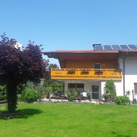 Haus Voithofer Lejlighed Sankt Johann im Pongau Eksteriør billede