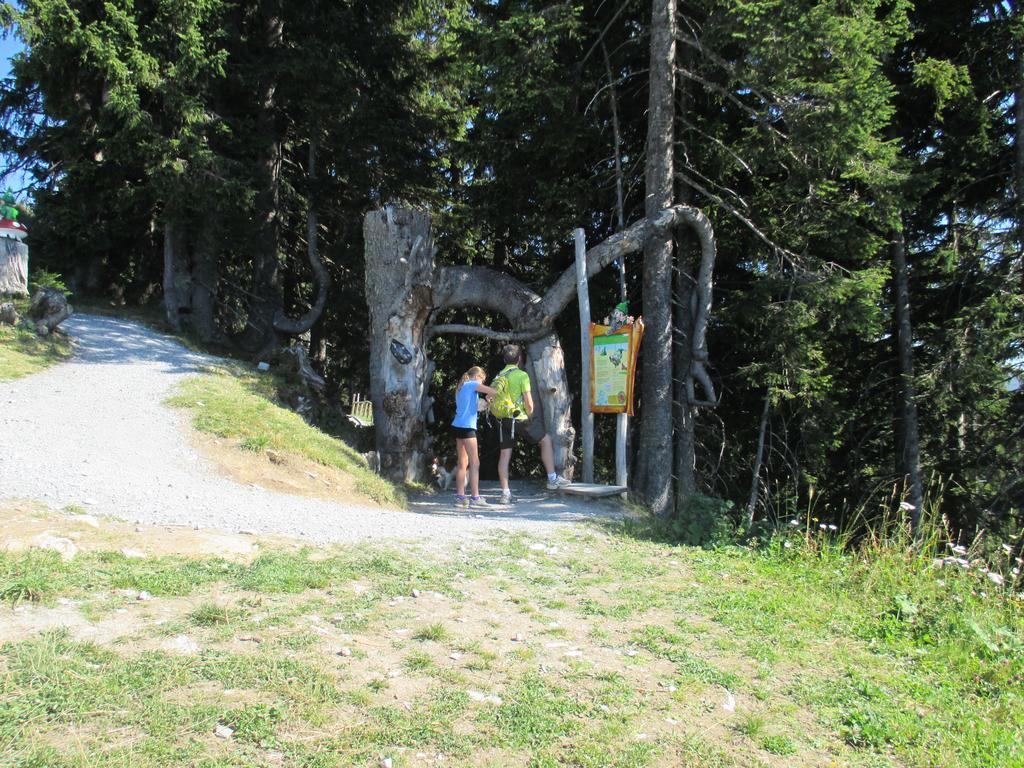Haus Voithofer Lejlighed Sankt Johann im Pongau Eksteriør billede
